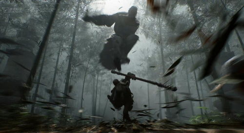 《黑神话悟空》黑风山地图揭秘：探秘悟空冒险新篇章