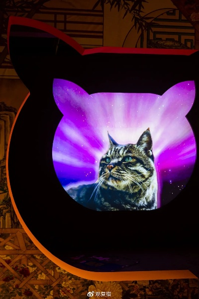 AI互动新体验，猫会后空翻开启智恋影游新时代
