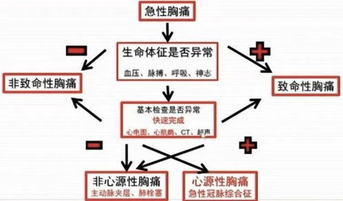 《致命频率》全攻略揭秘：白金流程高效指南