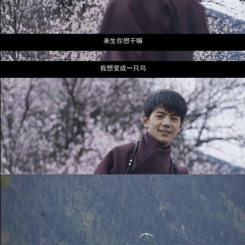 四年恩怨终揭晓：谢霆锋丁真富豪吝啬真相曝光