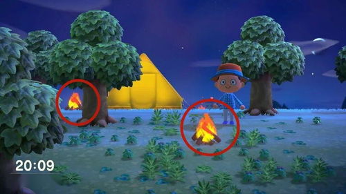 《动物森友会》大更新揭秘：新功能引领潮流体验