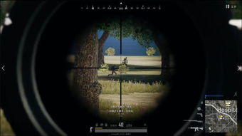 《潜行者2》ACOG4倍镜获取攻略：解锁精准视野新境界