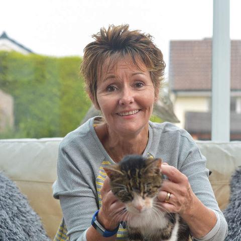 《无限暖暖》套装揭秘：重逢之约盛装轻松获取攻略