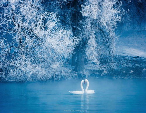 《无限暖暖》天鹅羽亭摄影攻略，解锁拍照新境界