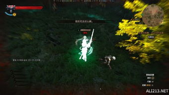 《巫师3》希里房间攻略：深度解析希里房间任务全攻略