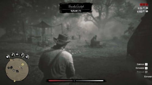 《荒野大镖客2》MOD神器下载宝典，轻松管理游戏新体验