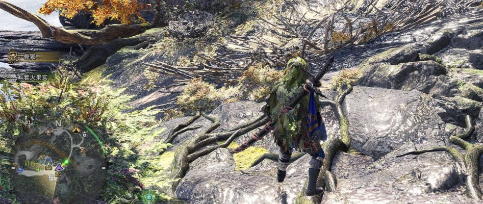 《怪物猎人世界》营地攻略：揭秘古代树森林营地位置与价值