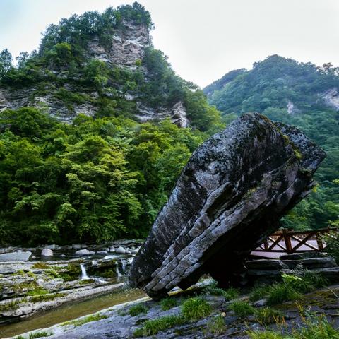 《上古卷轴5》龙骨龙鳞价值解析：深度揭秘用途与功效