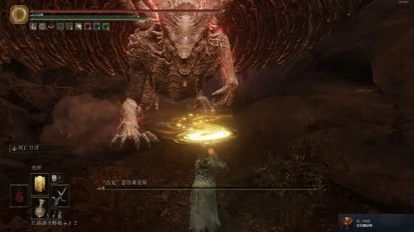 艾尔登法环古龙瑟涅桑克斯攻略：高效打法解析新技巧