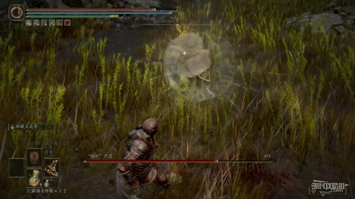 《艾尔登法环》落叶丹恩攻略：高效打法解析，掌握神秘新技能