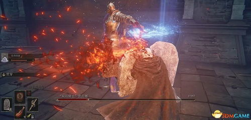 艾尔登法环攻略：双月骑士蕾菈娜高效打法解析