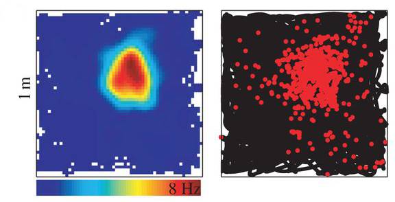 指尖陀螺探秘：超自然体生成地与神秘效果解析