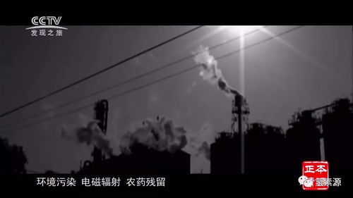 《切尔诺贝利之心揭秘：超自然体闪光点与神秘效应解析》