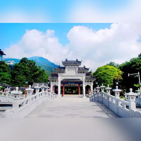 炼丹阵容攻略：S13云顶之弈新策略解析