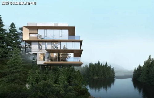 大熊探测器攻略：揭秘高效获取方法与价值解析