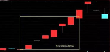 S13哨兵炮手攻略：高效运营技巧深度解析
