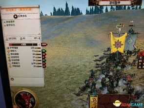 红森林探险揭秘：潜行者2全新地图探秘之旅