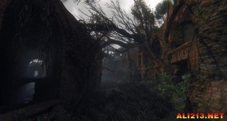 大沼泽惊悚探险，揭秘《潜行者2》全新生存挑战