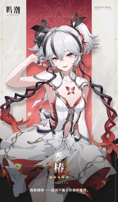 《鸣潮》1.4角色实力巅峰揭秘：椿评级全新解析