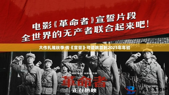 《宣誓》豪华版尊享揭秘：全新价值体验一览