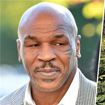 《农场25金钱大揭秘：轻松提升财富新攻略》