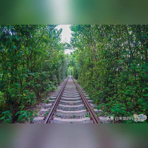 《崩坏星穹铁道》2.6版全角色攻略秘籍，深度解析新价值培养技巧