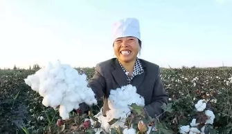 农场传奇戴维德：揭秘25代新农王风采