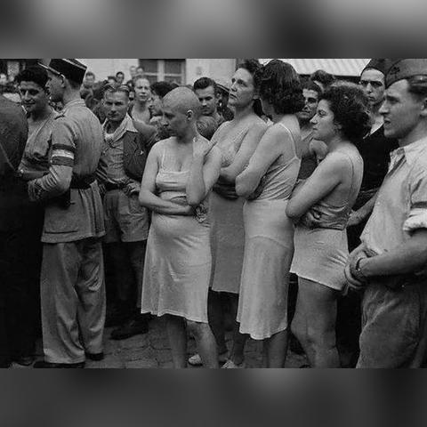 乌龟德卡组攻略：深度解析标准模式下的全新策略精髓