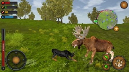 《野狗子》核心系统深度解析，解锁全新游戏价值体验