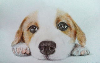 《野狗子》阴伏虫-改攻略：高效收集记忆碎片技巧解析