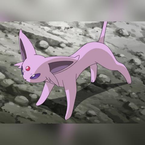 叶伊布强力攻略：招式优化与搭配技巧深度解析