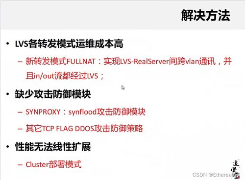 皮可西实战攻略：技能搭配与最佳持有物解析