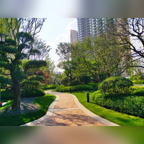 《欧陆风云5》折上折惊爆价￥200.3，超值体验不容错过！