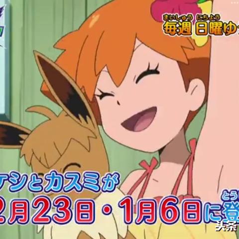 月亮伊布独门秘技大揭秘，技能解析新视角