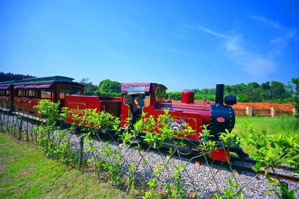 轻松畅游金垦小镇，体验火车系统入门攻略秘籍