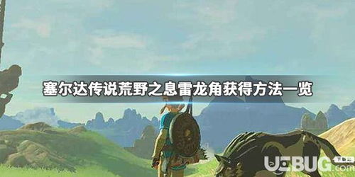 荒野煌雷龙讨伐秘录：揭秘全新狩猎传奇