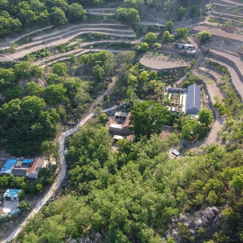 《怪物猎人荒野》试玩版营地攻略：揭秘安全避难秘境