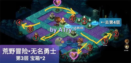 荒野探险秘籍解锁，游戏指南探秘新视角