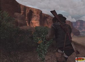 《荒野大镖客救赎》不死梦魇DLC深度解析：揭秘生存挑战新境界