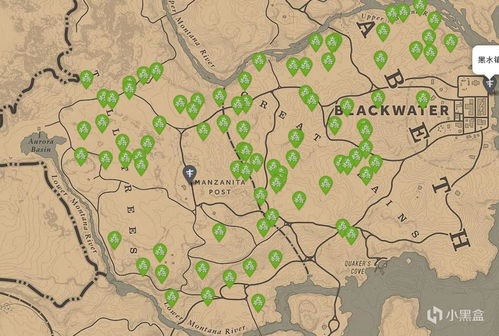 荒野大镖客：救赎1全收集地图攻略，深度解析新视角