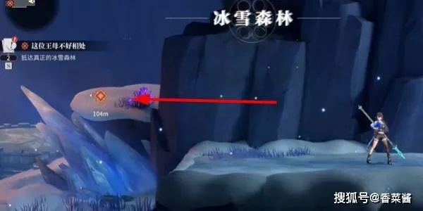 常冰森林探险秘籍：高效收集攻略全解析