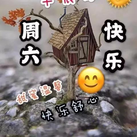 辰祝之都深度攻略：揭秘收集秘籍与探索秘境指南