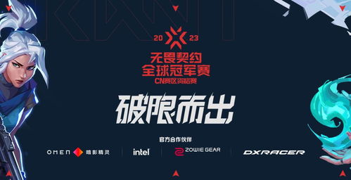 《无畏契约》10月29日皮肤热度榜揭晓，揭秘新潮流趋势！