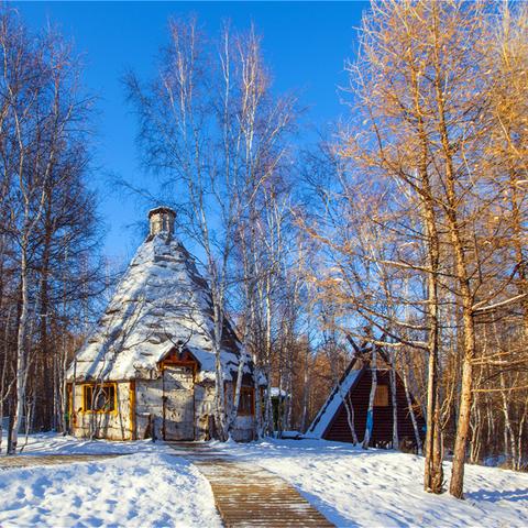 荒野狩猎秘境全攻略，揭秘《怪物猎人荒野》通关秘籍