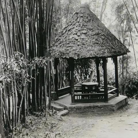 狂眼巨人攻略：高效打法解析，掌握全新战斗技巧