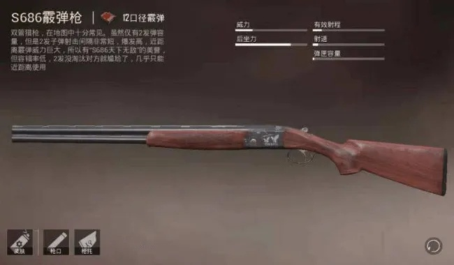 ASG89霰弹枪实战攻略：掌握高效玩法，解锁全新战术优势