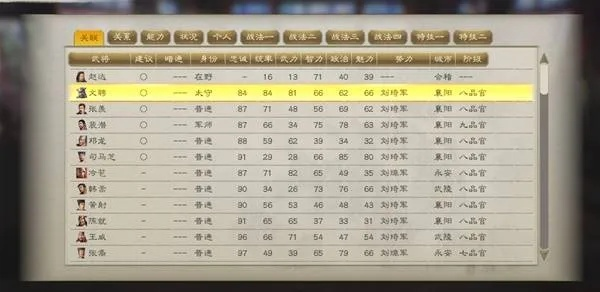 三国志8重制版内政秘籍：深度解析高效指令攻略