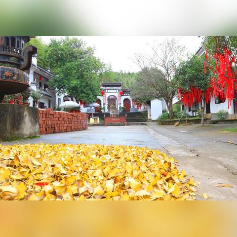 寂静之地挑战极限，前方之路揭秘巅峰攻略