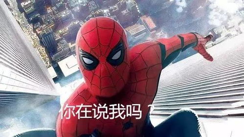 蛛丝蜘蛛侠2099：揭秘未来英雄新篇章