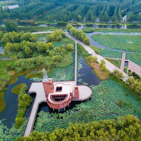 《崩坏星穹铁道》全新解析：深度揭秘虚韧性机制与价值提升